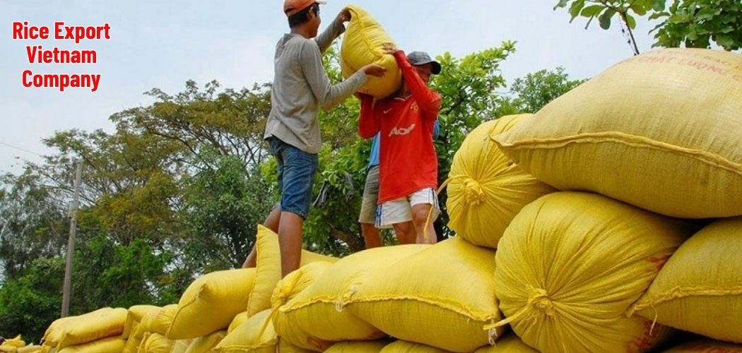 Rice Export Vietnam Company 4