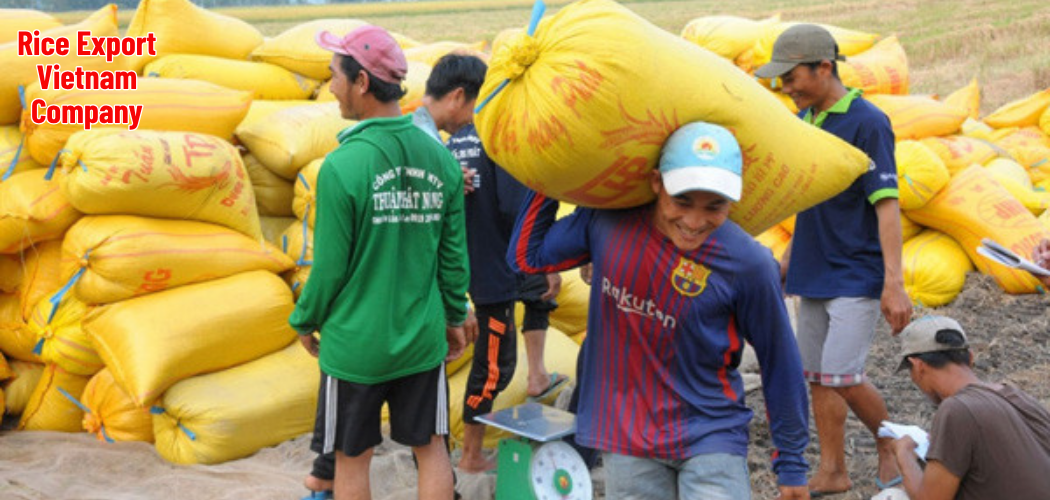 Packaging Options: Custom Rice Packaging from Vietnam’s Leading ...