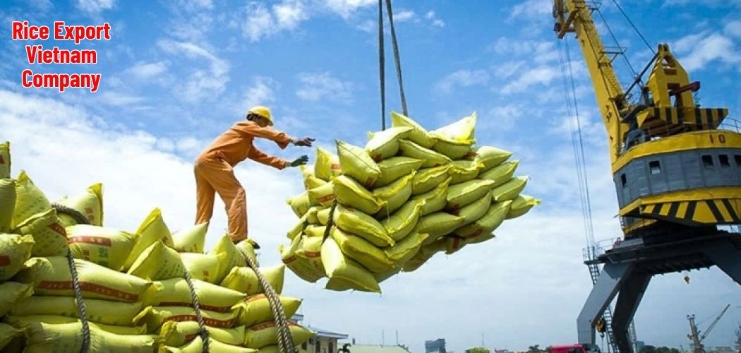 Rice Export Vietnam Company
